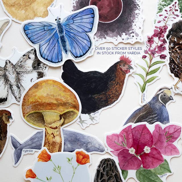 Dungeness Crab Vinyl Sticker