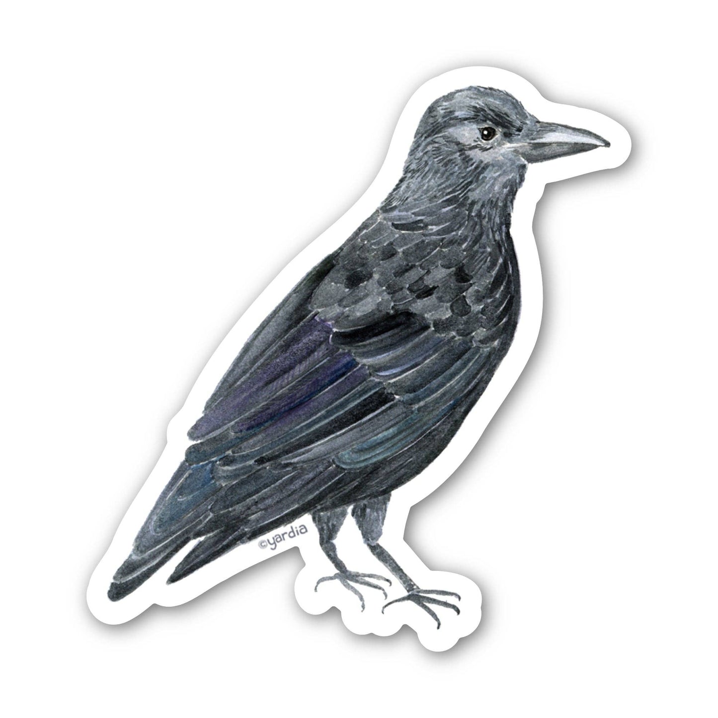 Crow Bird Sticker - Watercolor Birding Vinyl Sticker
