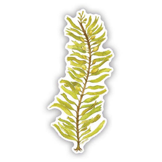 Feather Boa Kelp Vinyl Sticker - Seaweed Sticker