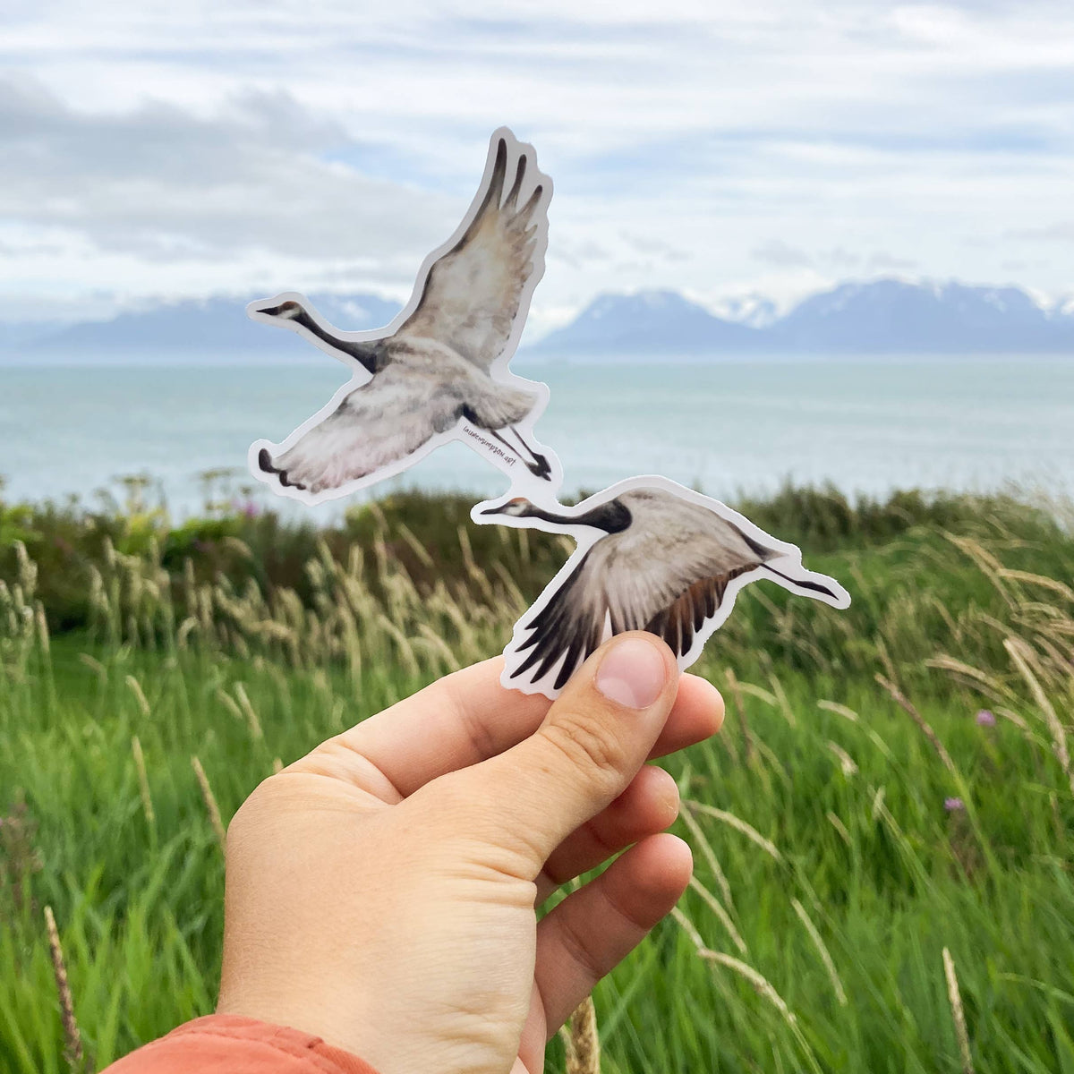 Flying Cranes Sticker
