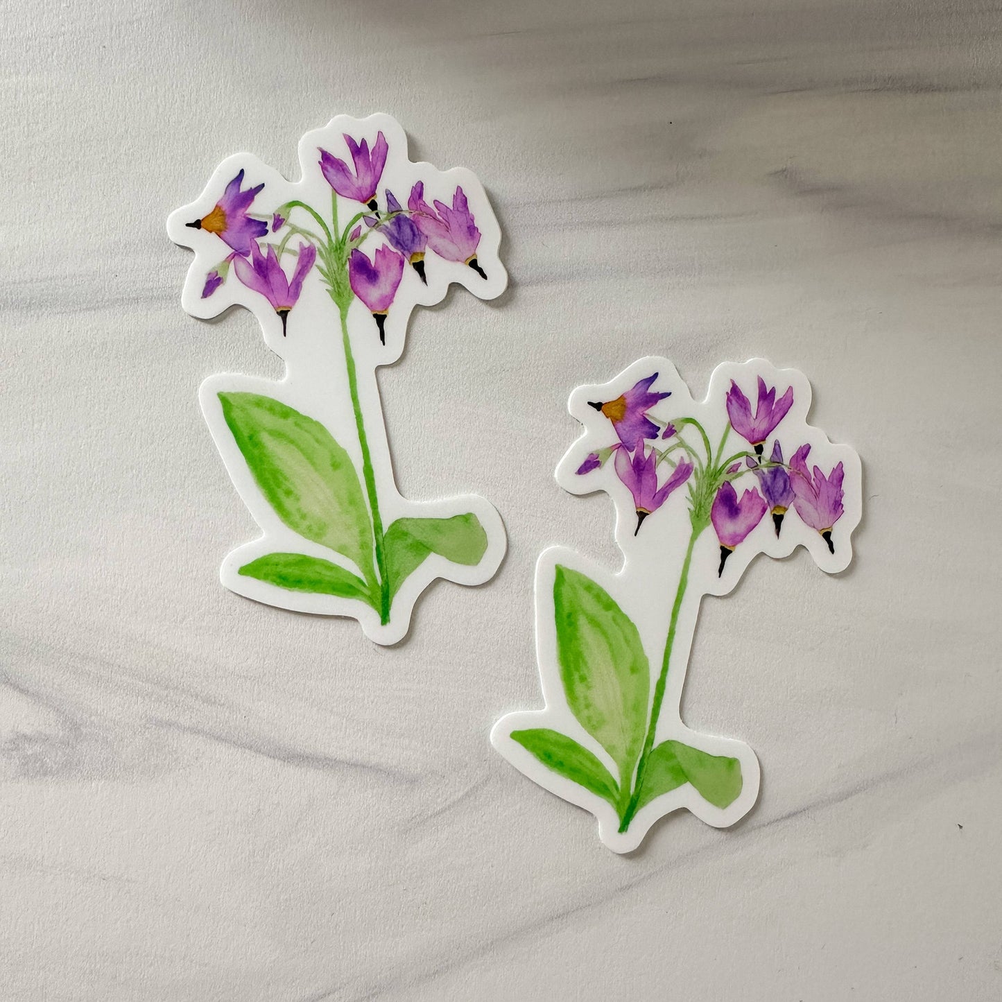 Watercolor Shooting Star Flower Wildflower Sticker