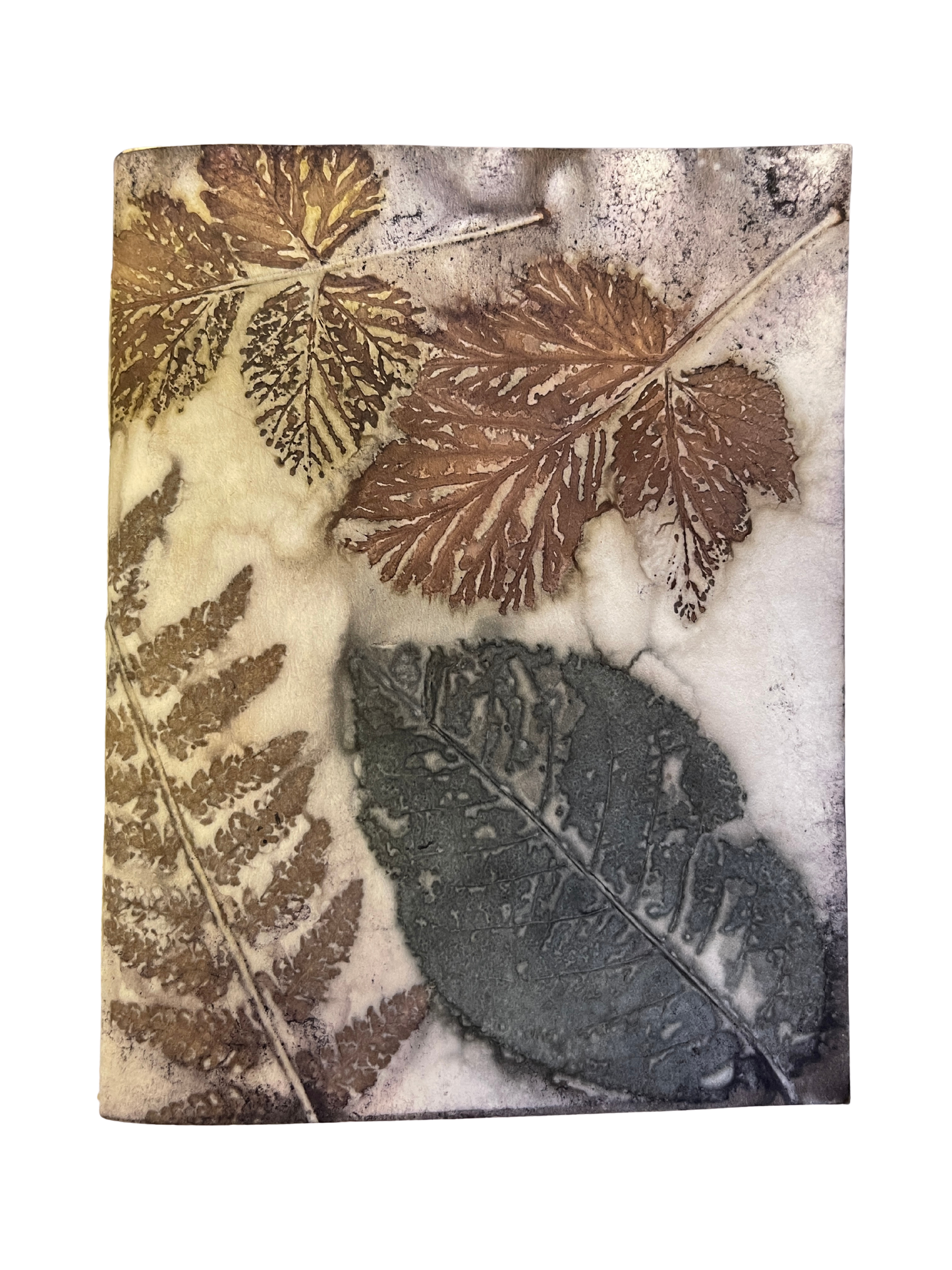 Signature Soft Cover Sketchbook