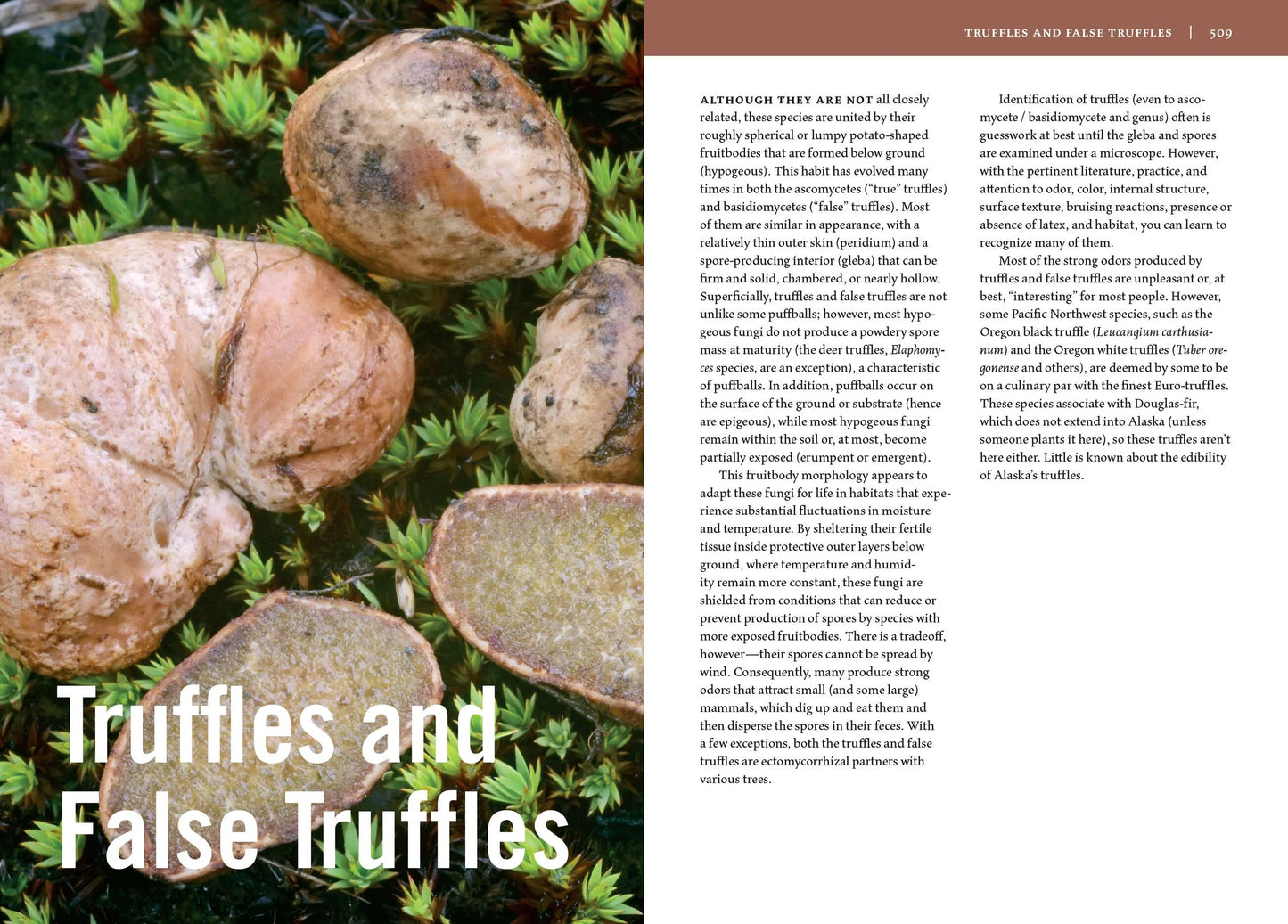 Mushrooms of Alaska