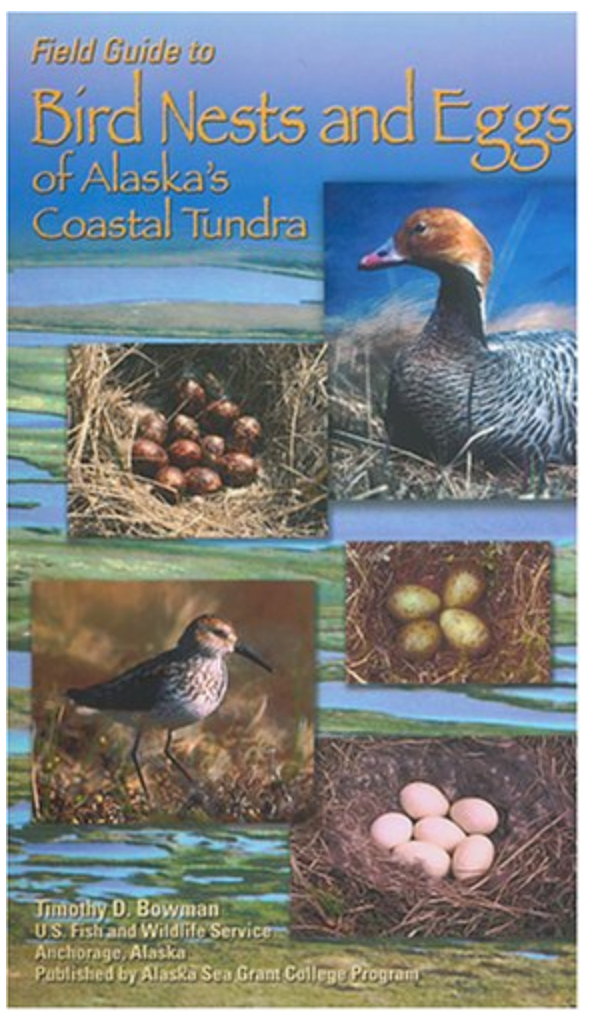 Field Guide to Bird Nest and Eggs