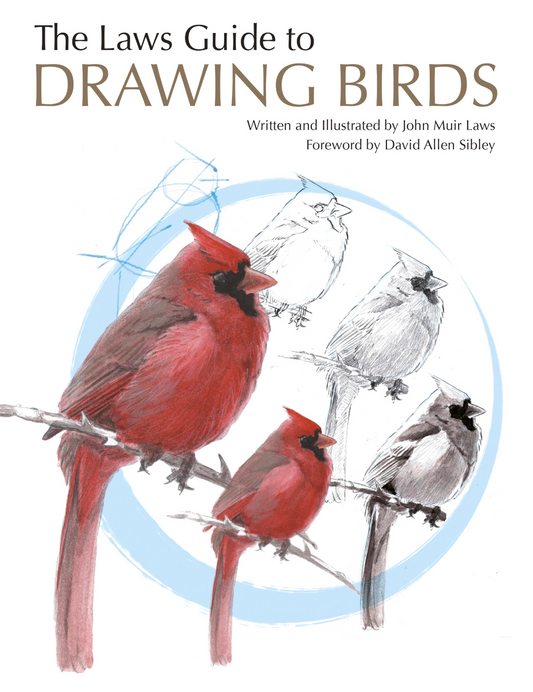 The Laws Guide to Drawing Birds Book Study