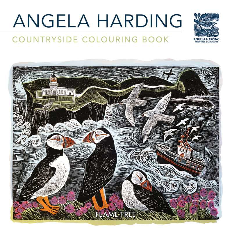 Countryside (Angela Harding) Colouring Book by