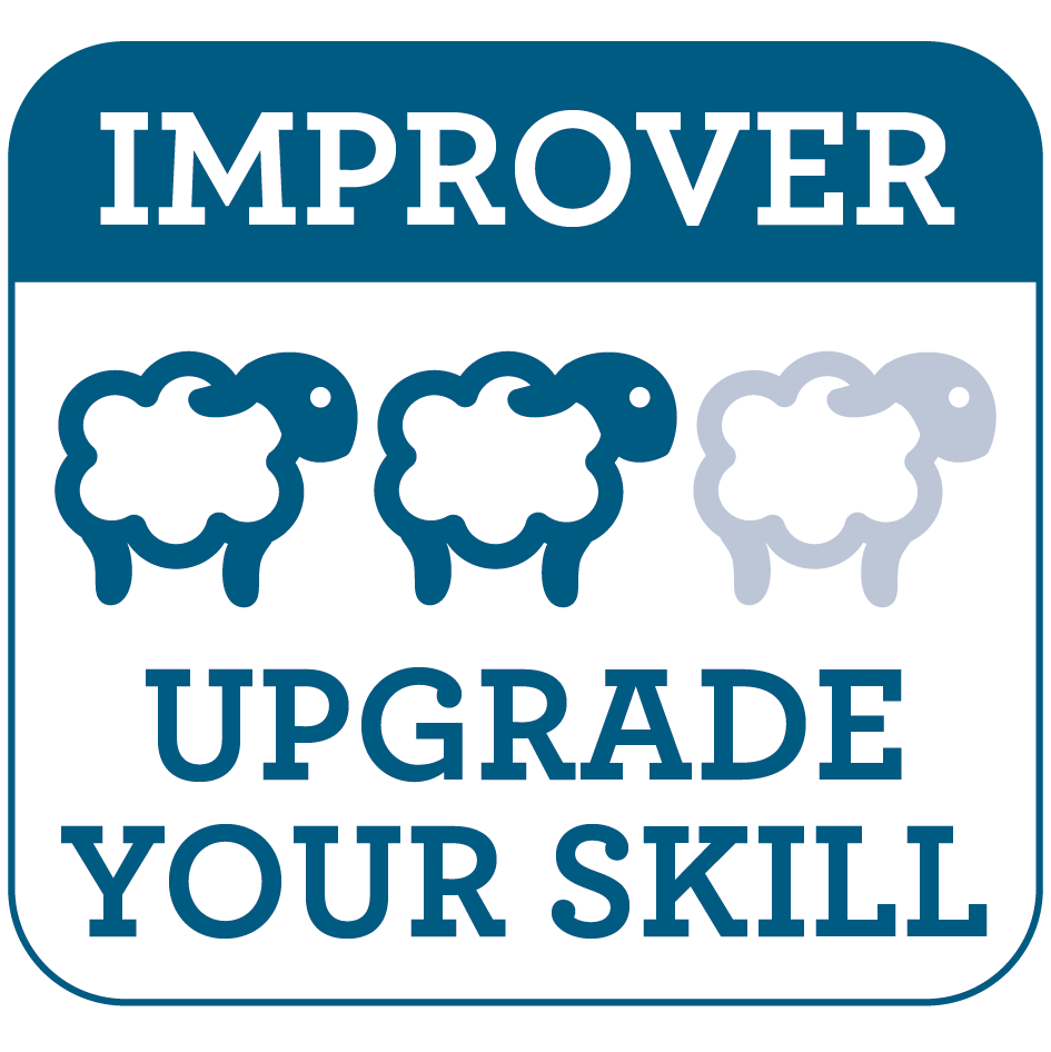 White Swan Needle Felting Craft Kit