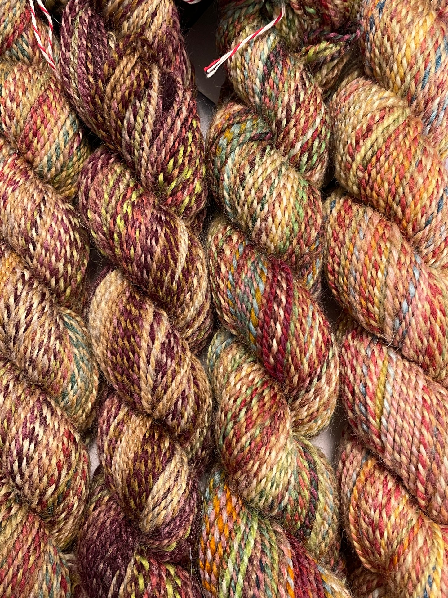 Spincycle | Dyed in the Wool