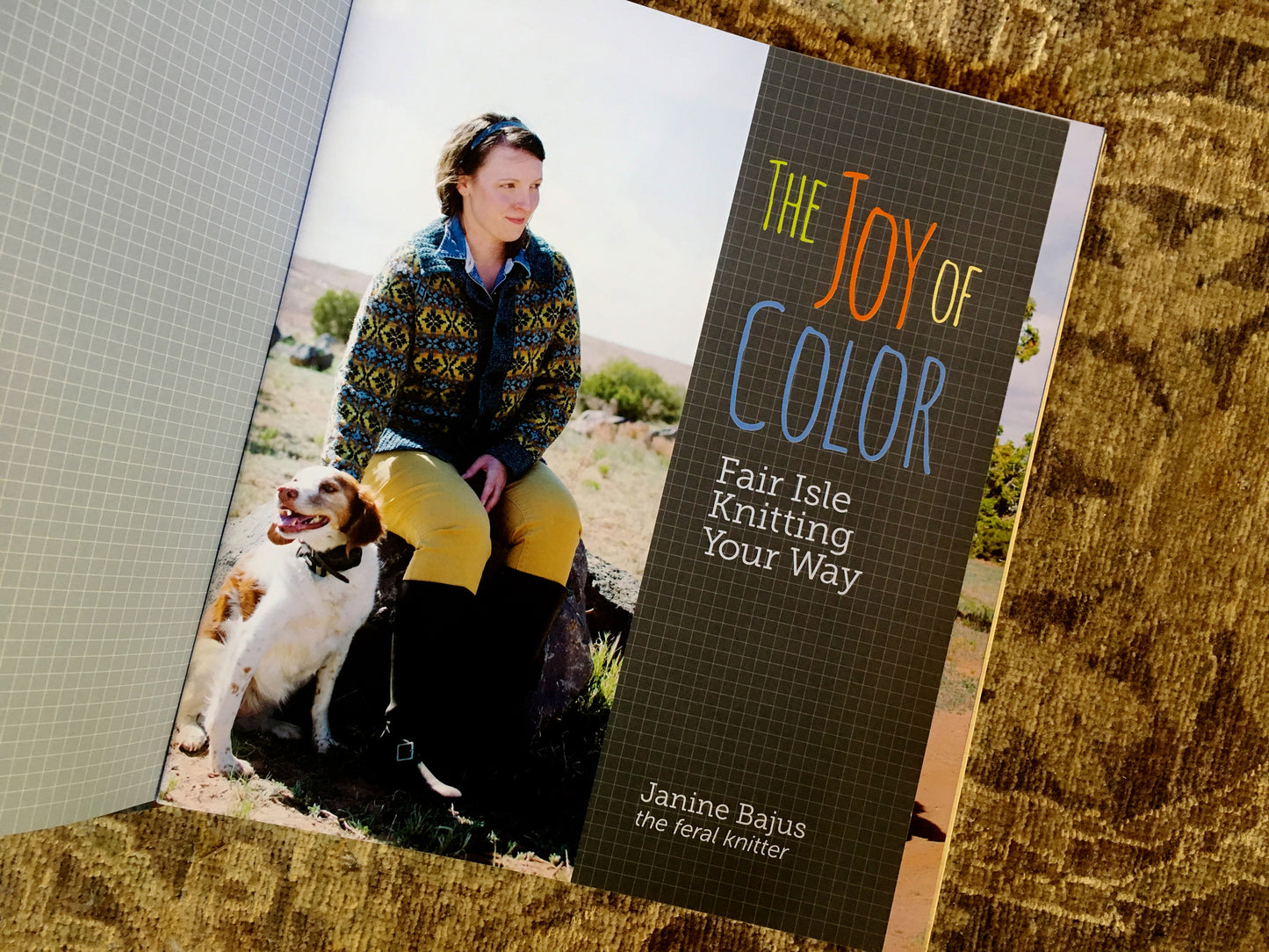 The Joy of Color: Fair Isle Knitting Your Way by Janine Bajus
