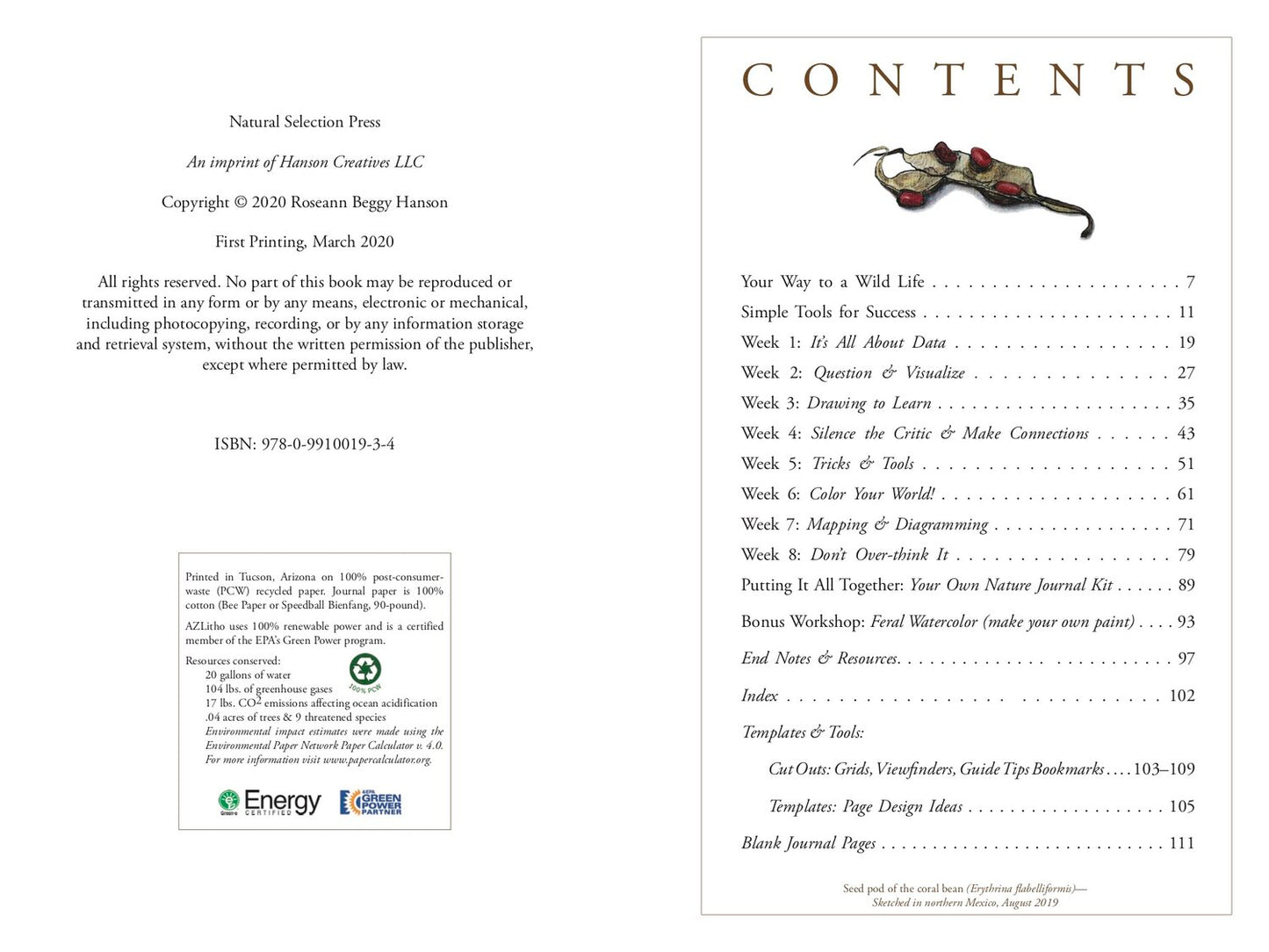 Nature Journaling for a Wild Life: Find Yourself in Nature: The Wild Workshop Series Book by Roseann Hanson