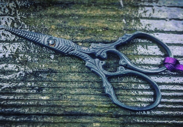 Branch and Flower Black Needlework Embroidery Scissors