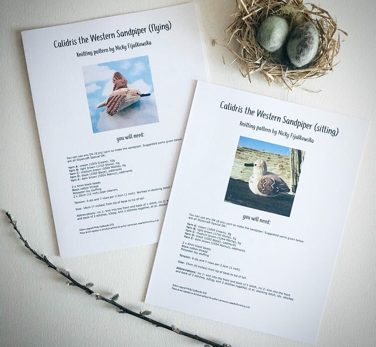 Calidris the Western Sandpiper