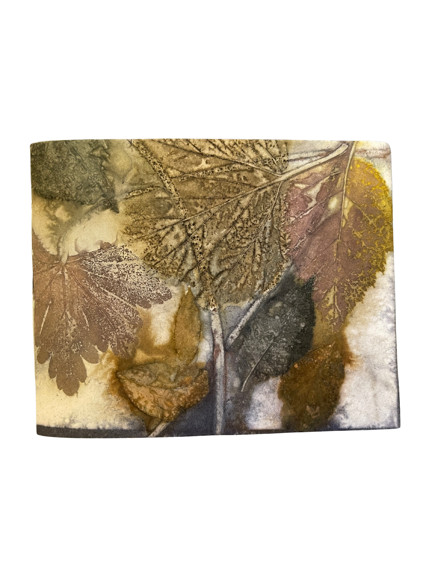 Signature Soft Cover Sketchbook