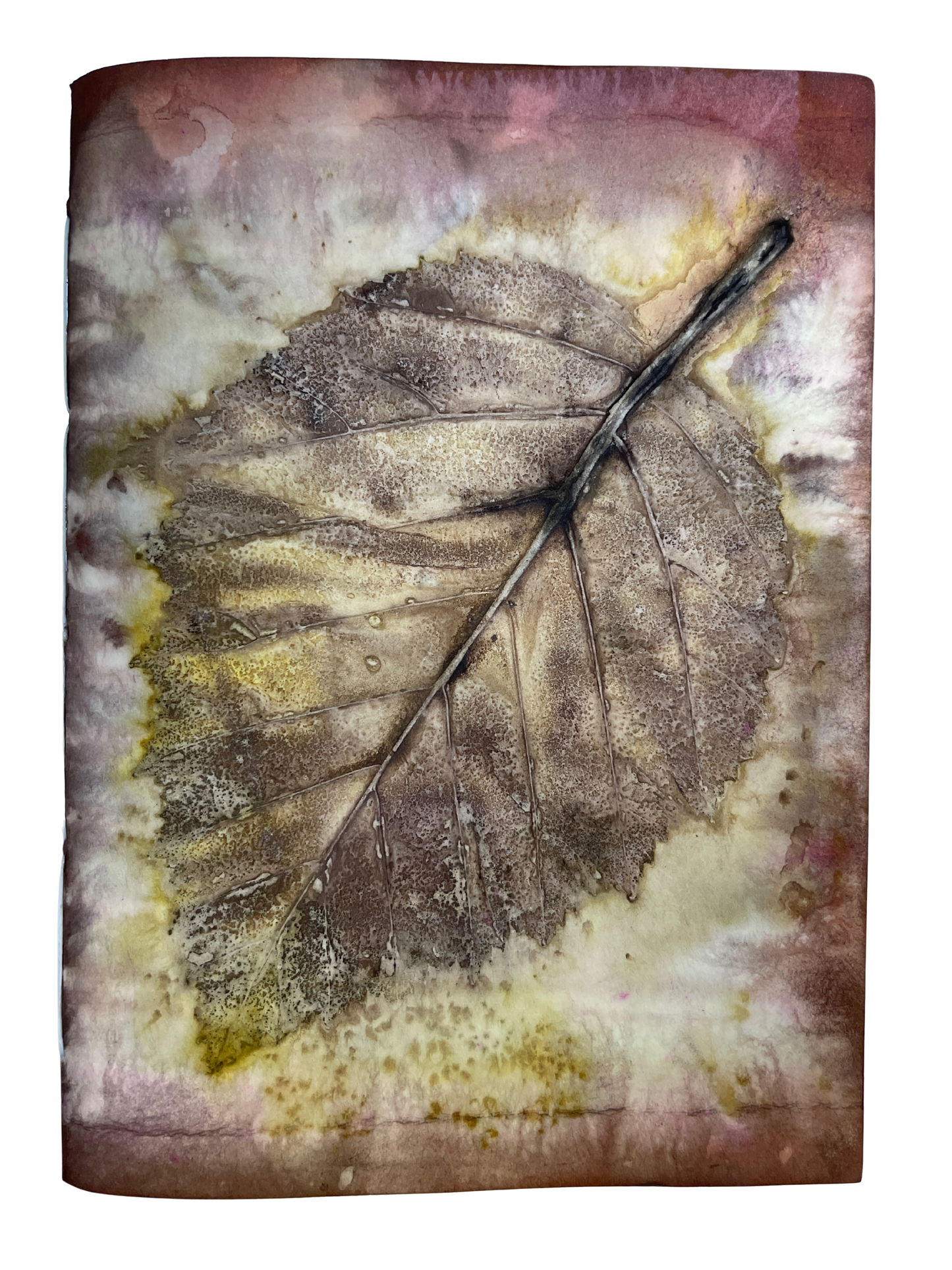 Signature Soft Cover Sketchbook