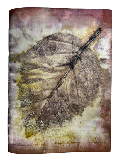 Signature Soft Cover Sketchbook