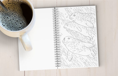 Coastal Alaska Art Coloring Book