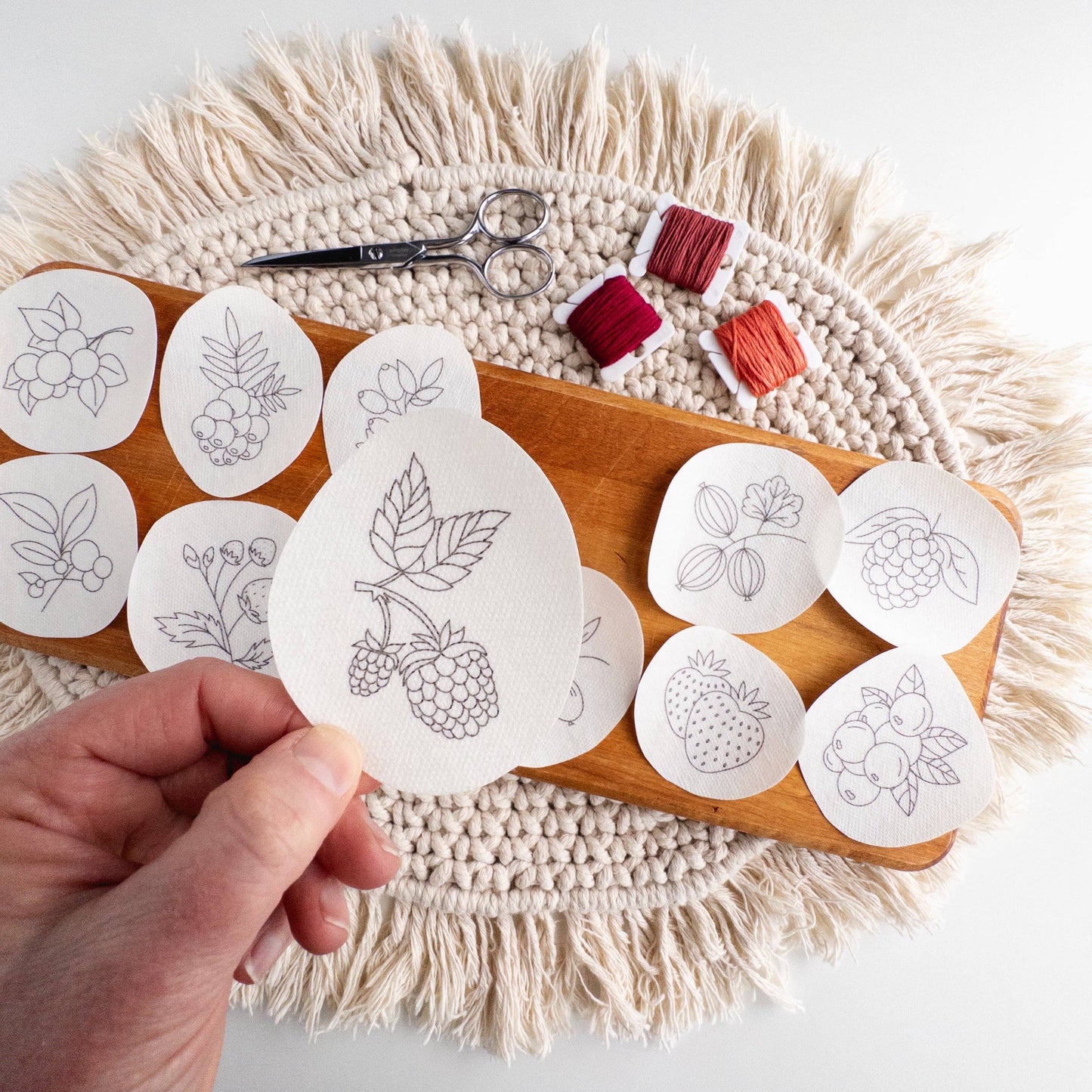 Stick and Stitch Berry Embroidery Patterns