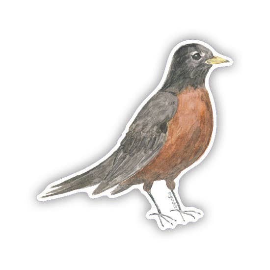 Robin Sticker - Watercolor Bird Vinyl Sticker – The Net Loft