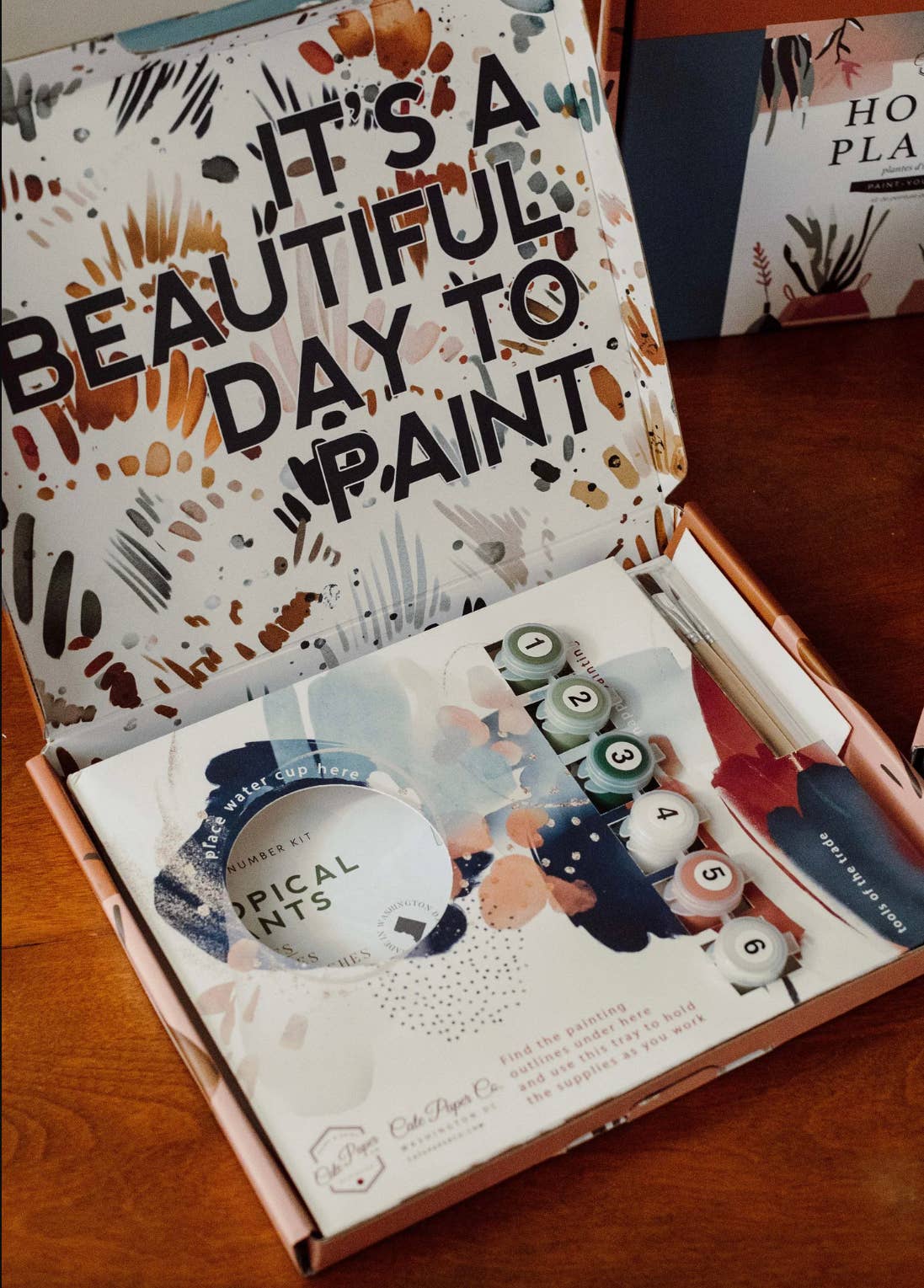 Zinna Blooms Paint-By-Numbers kit