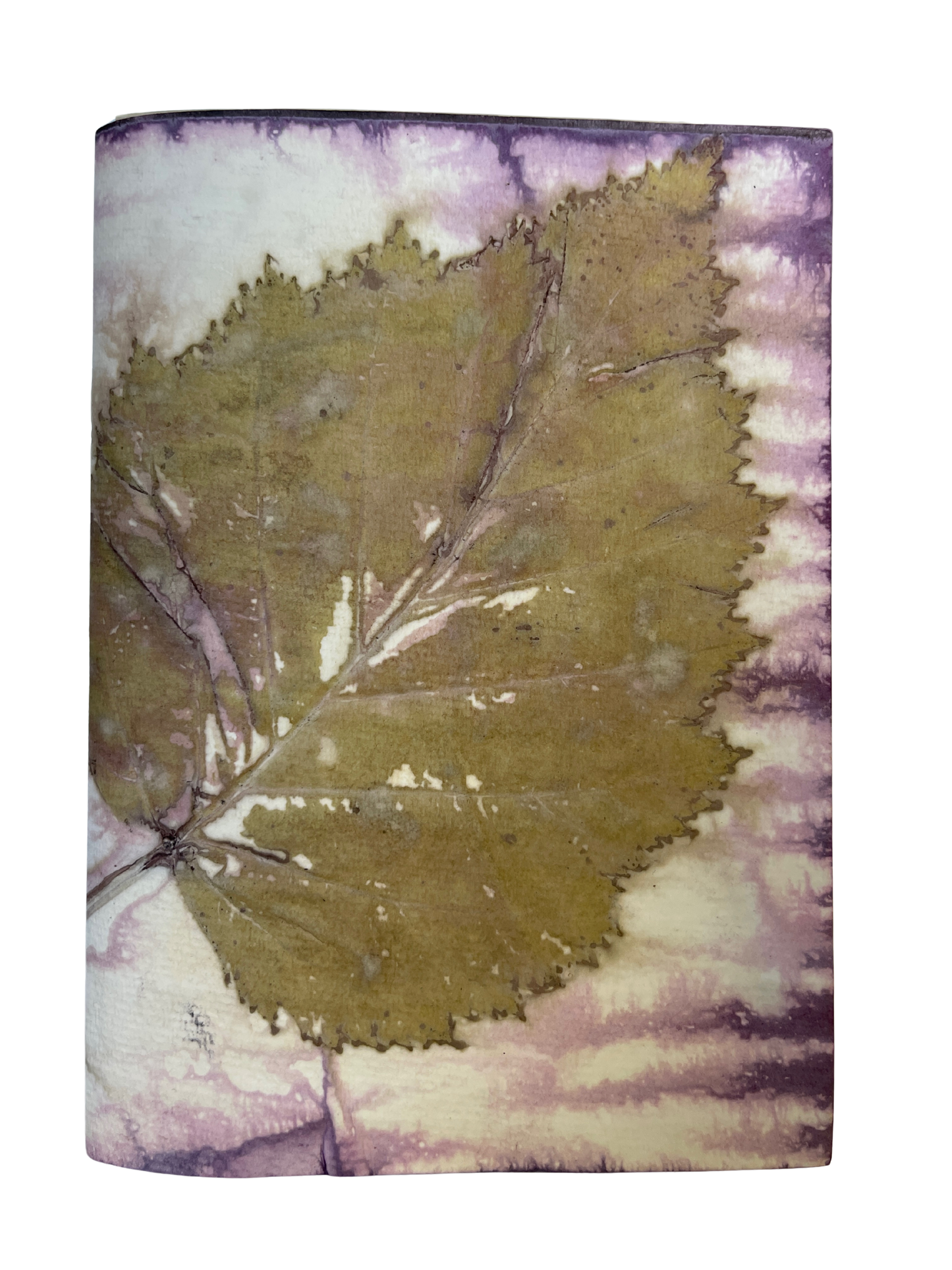 Signature Soft Cover Sketchbook