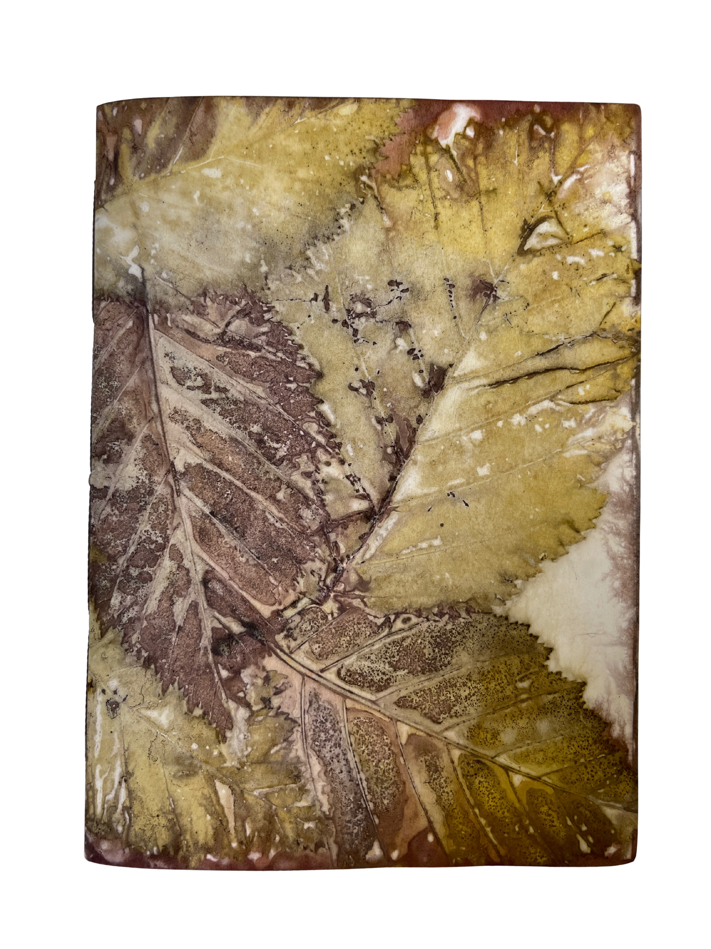 Signature Soft Cover Sketchbook