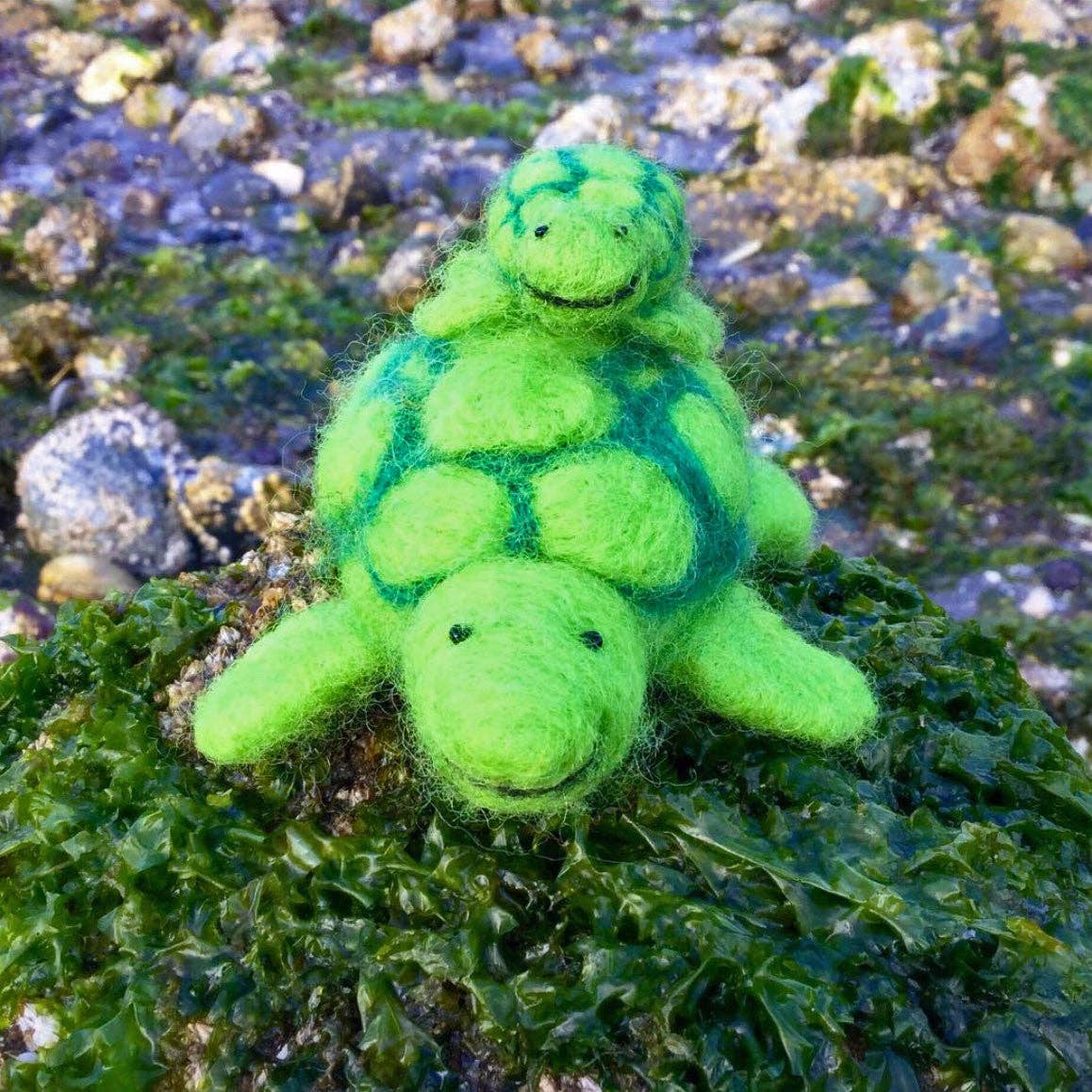 Sea Turtle Felting Kit
