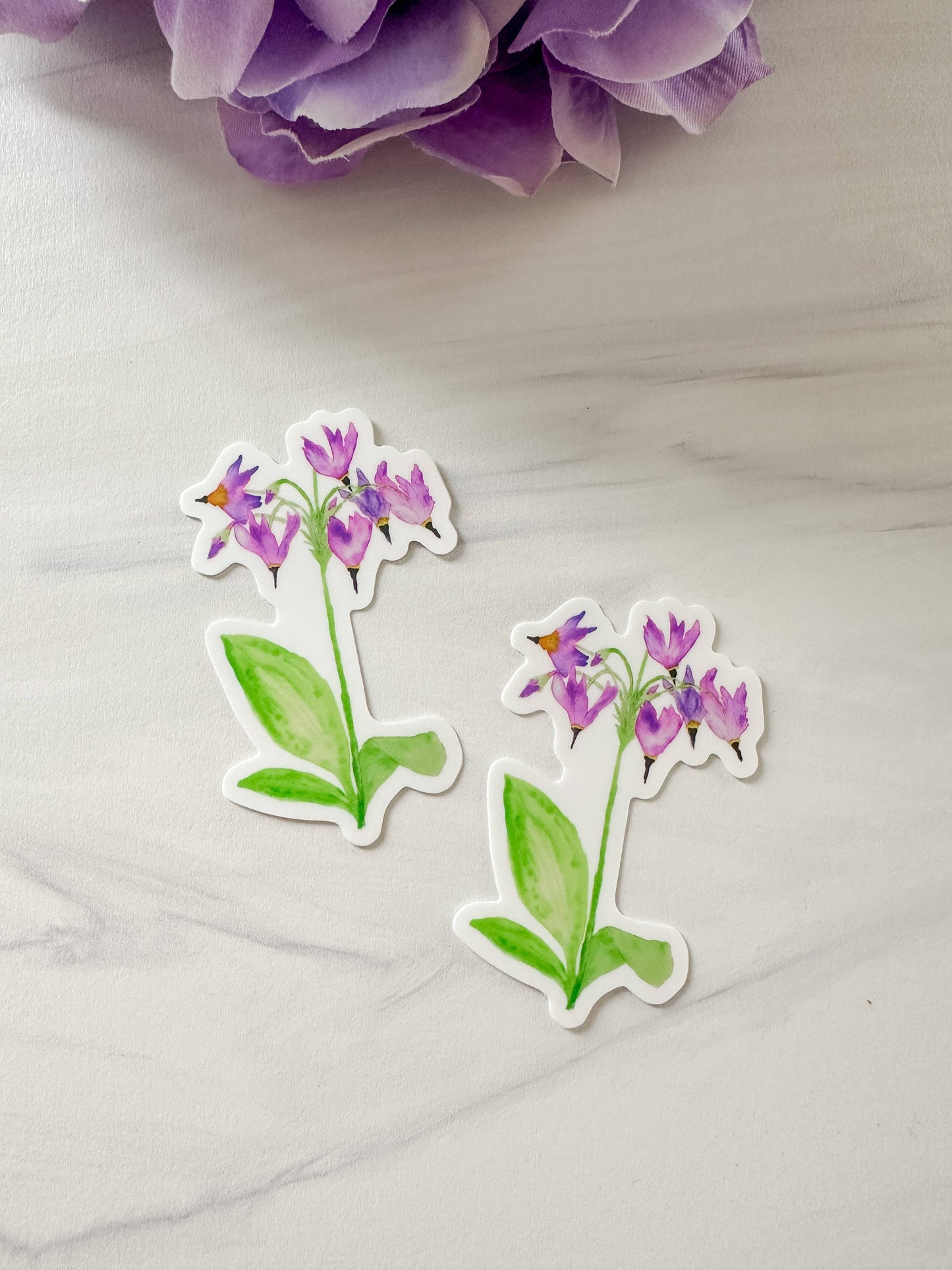 Watercolor Shooting Star Flower Wildflower Sticker