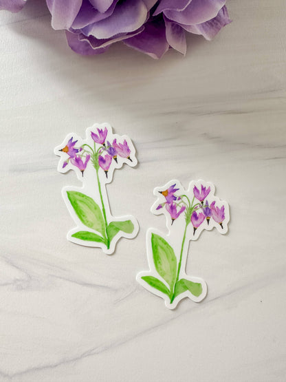 Watercolor Shooting Star Flower Wildflower Sticker