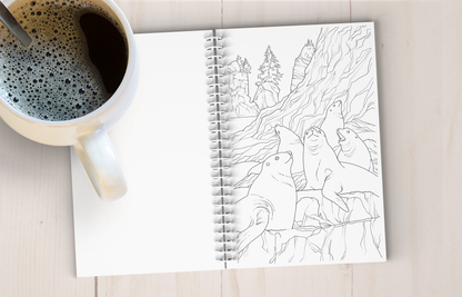 Coastal Alaska Art Coloring Book