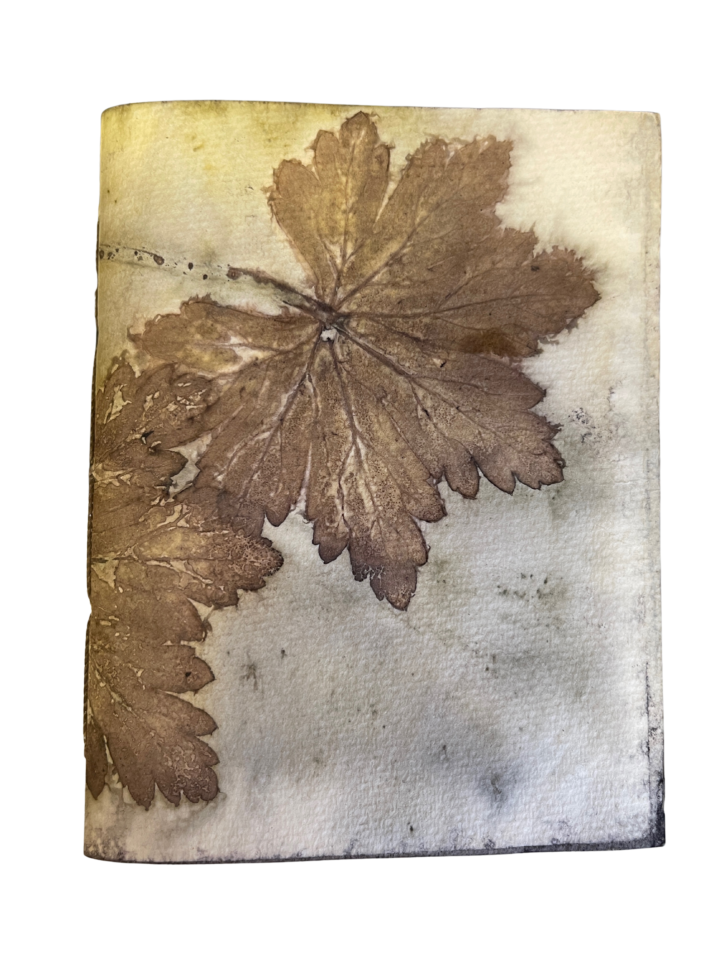 Signature Soft Cover Sketchbook