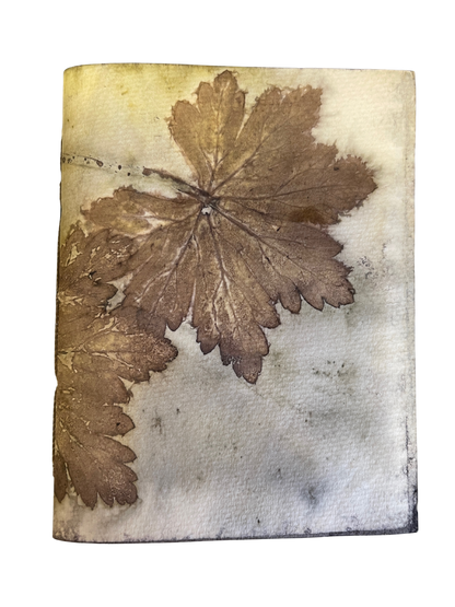 Signature Soft Cover Sketchbook