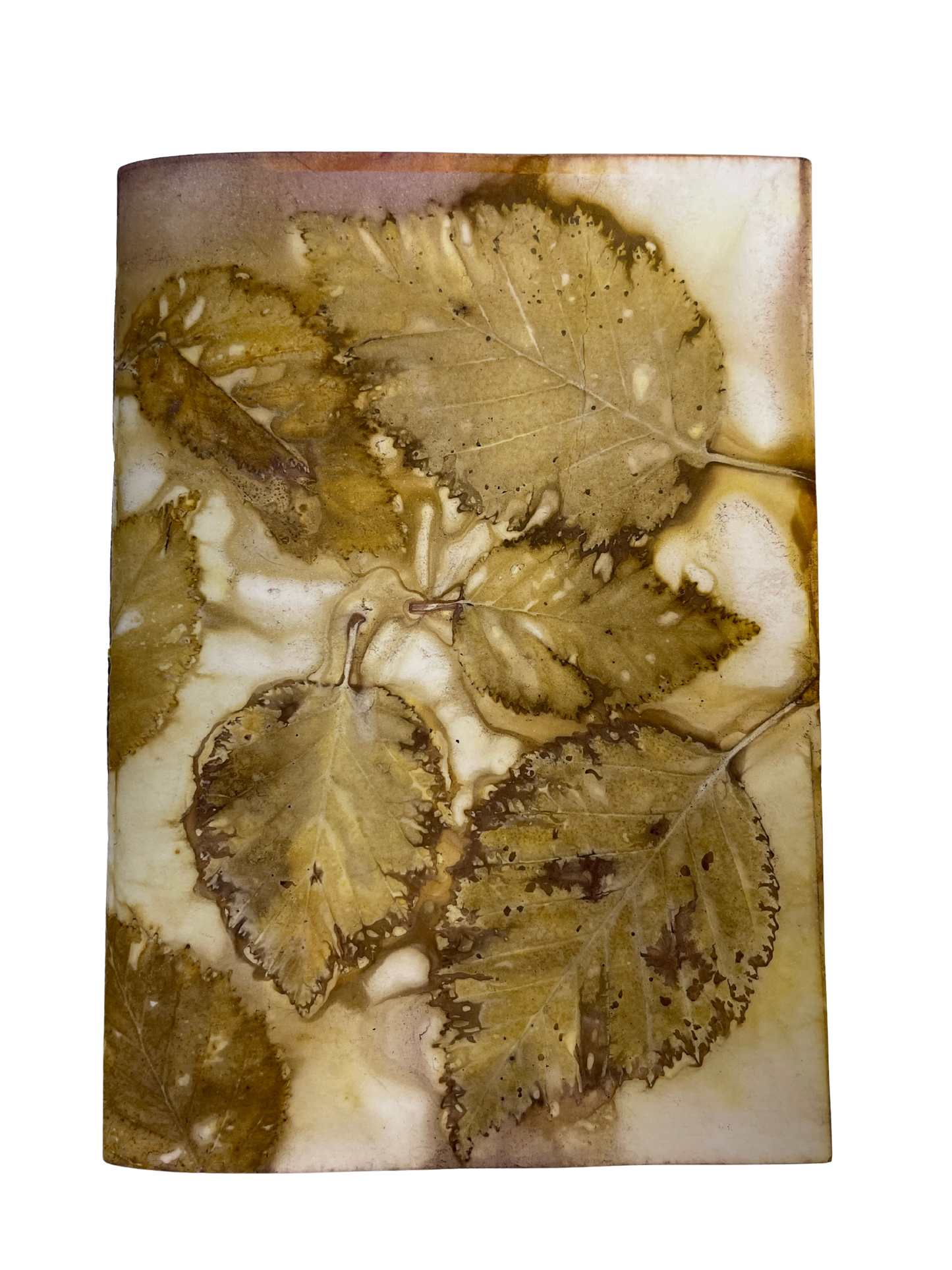 Signature Soft Cover Sketchbook