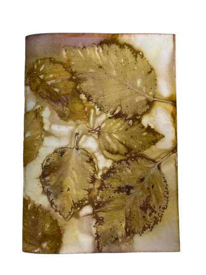 Signature Soft Cover Sketchbook