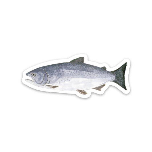 Chinook Salmon Vinyl Sticker - Watercolor Fish Sticker