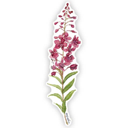 Fireweed Vinyl Sticker - Watercolor Wildflower