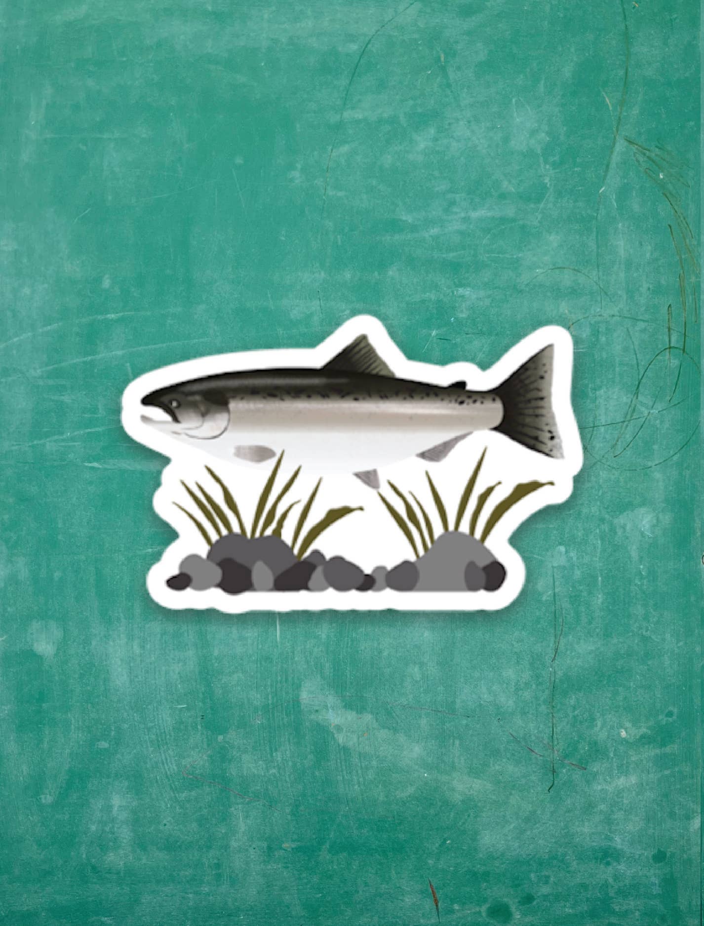 Salmon - Tiny Viny Sticker