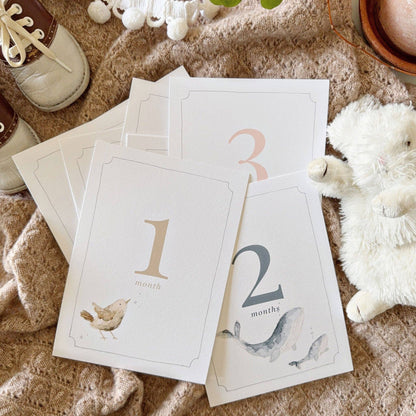 Baby milestone cards