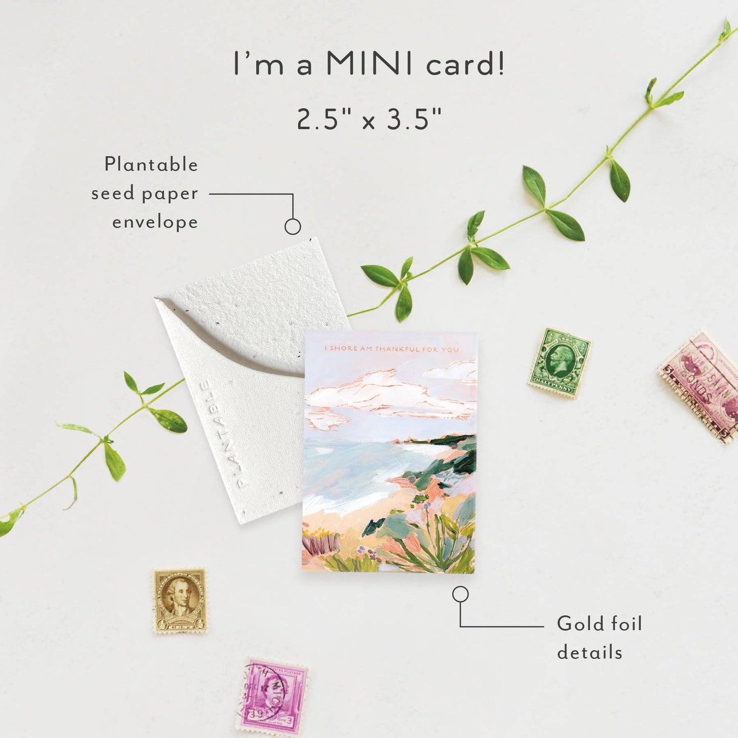 Shore Am Thankful Sprout - Thank You Mini Greet 2.5 x 3.5