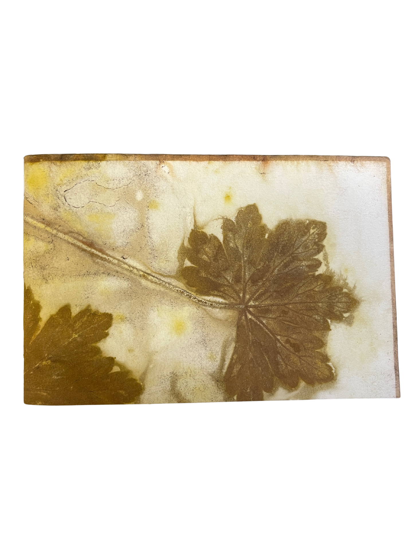 Signature Soft Cover Sketchbook