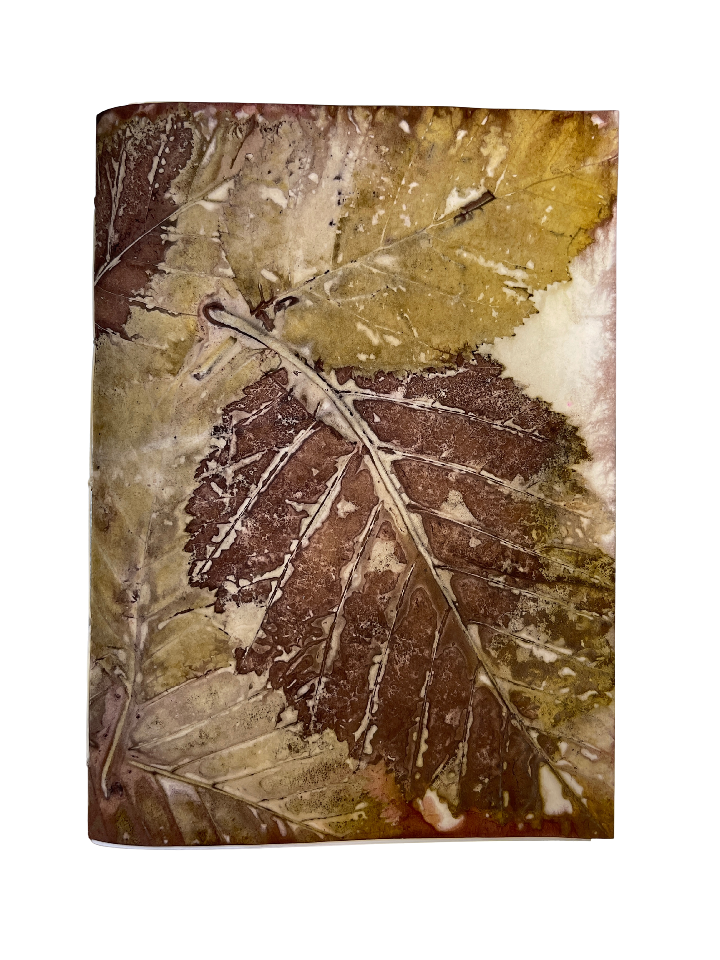 Signature Soft Cover Sketchbook