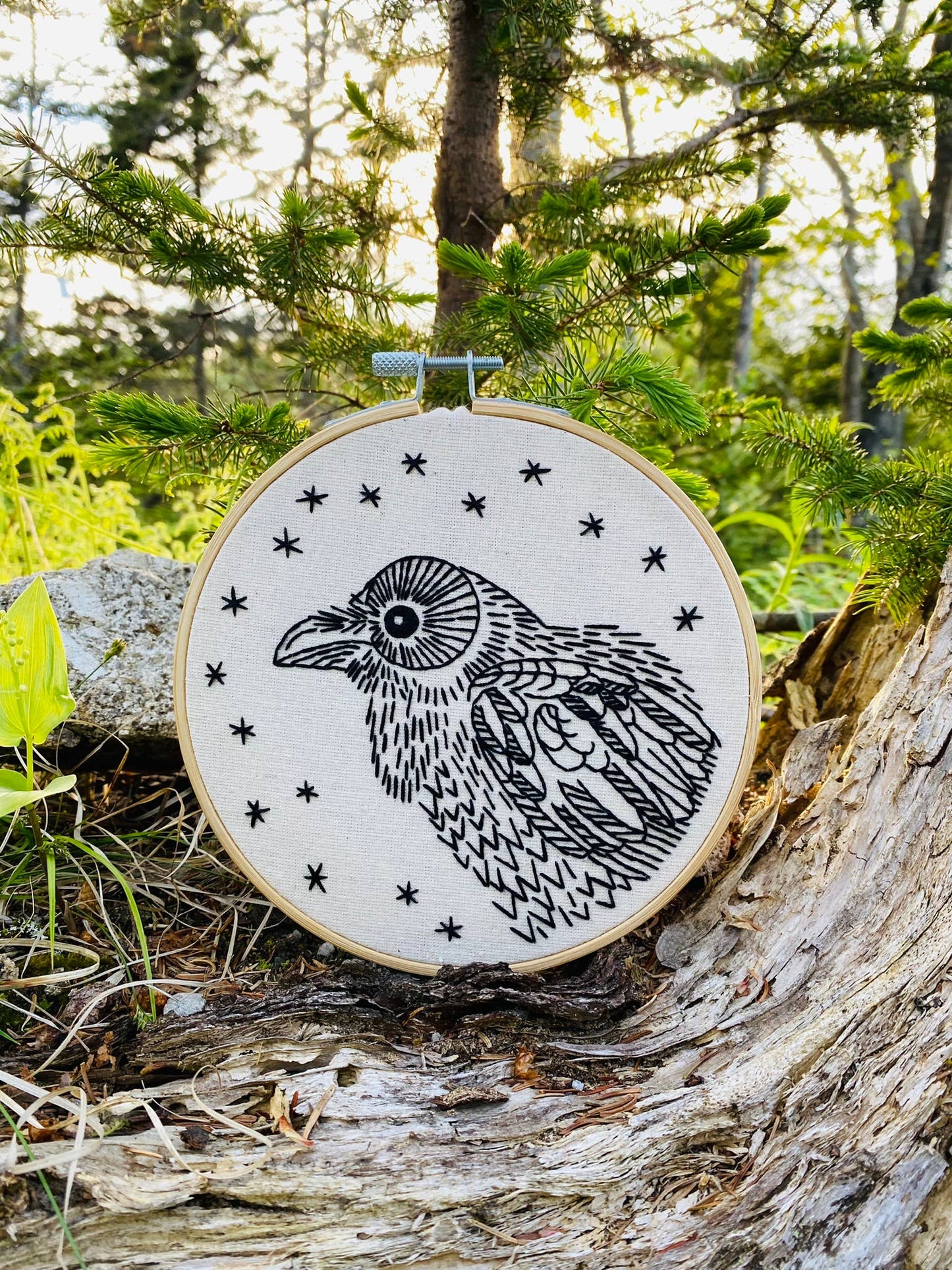 Raven - Nevermore Complete Embroidery Kit