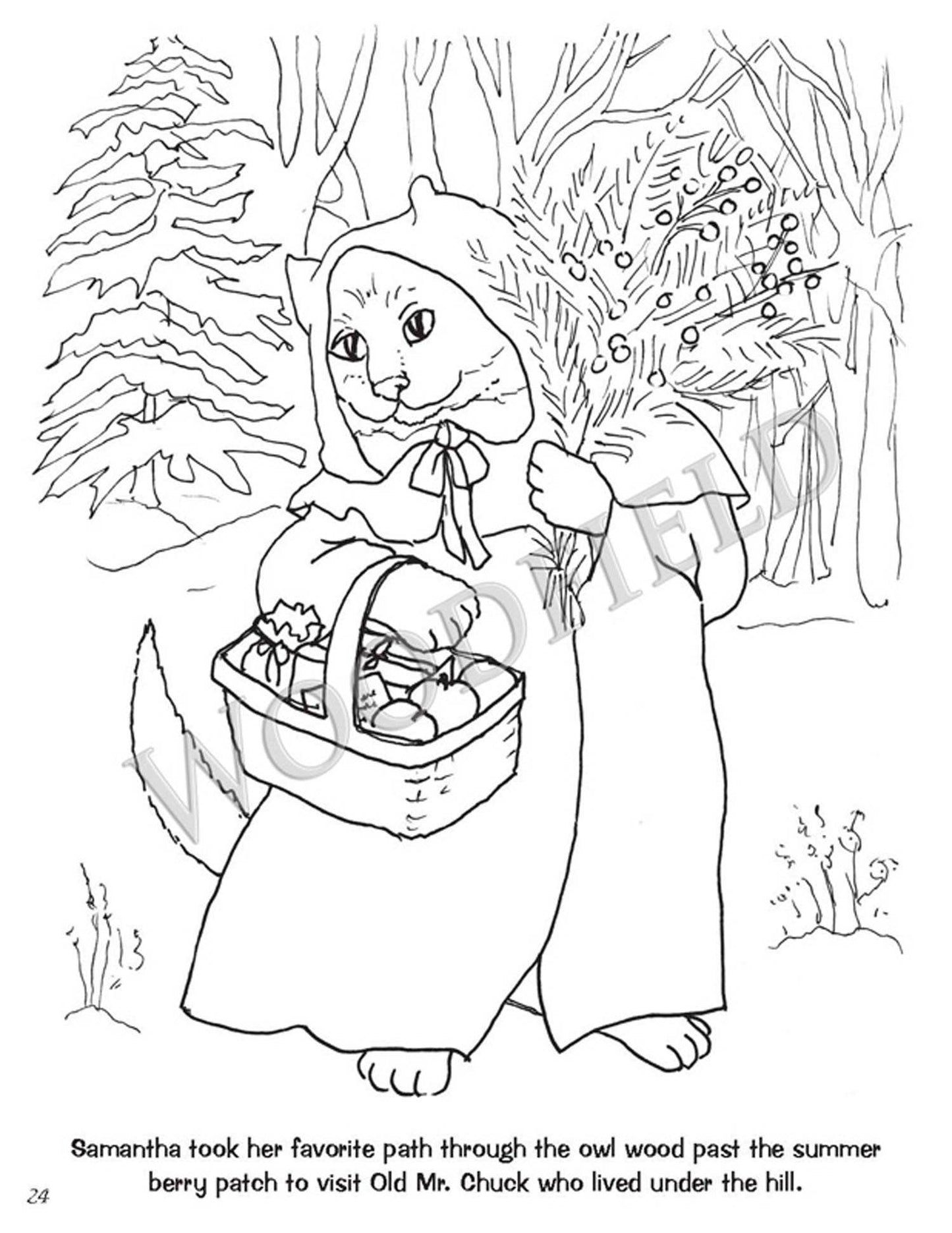 Tales from Woodfield Coloring Book