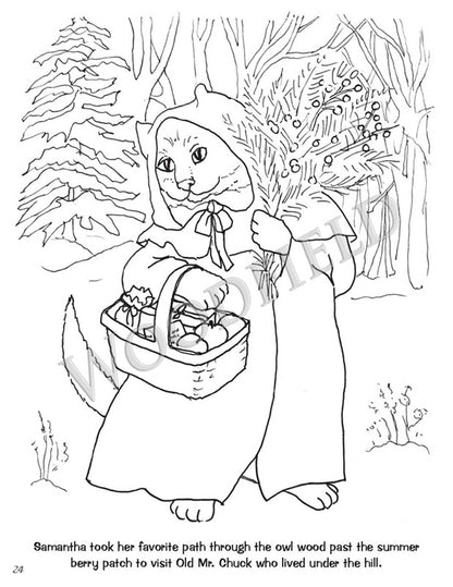 Tales from Woodfield Coloring Book