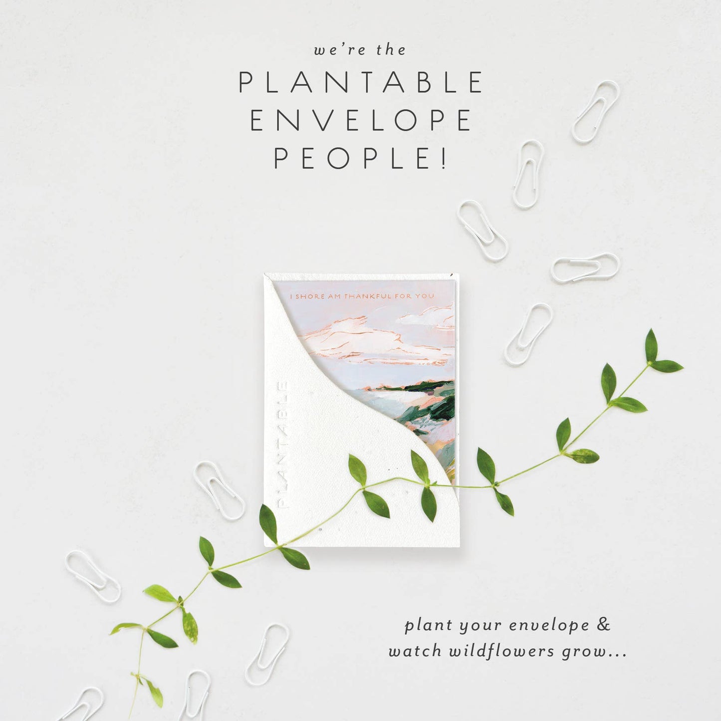 Shore Am Thankful Sprout - Thank You Mini Greet 2.5 x 3.5