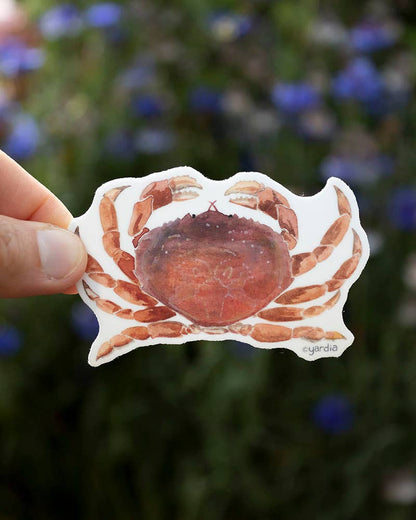 Dungeness Crab Vinyl Sticker
