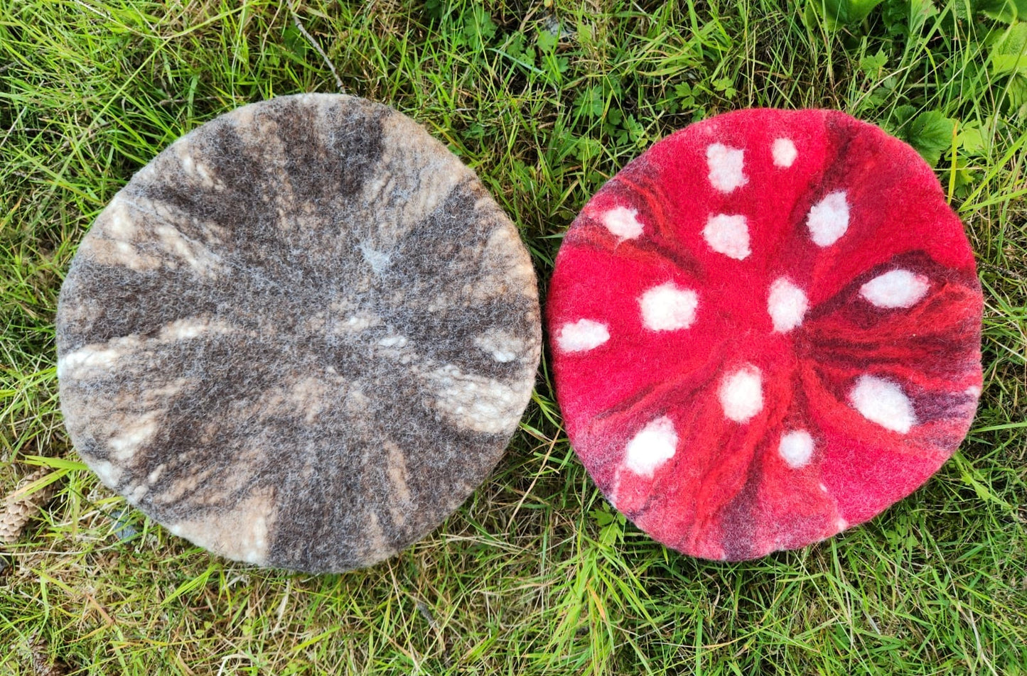 Mushroom Beret