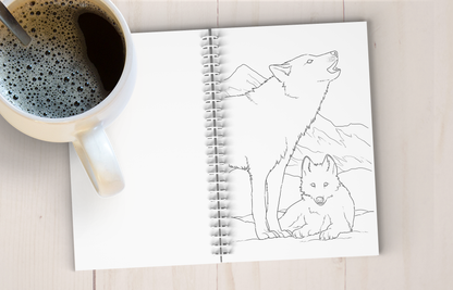 Arctic Alaska Art Coloring Book