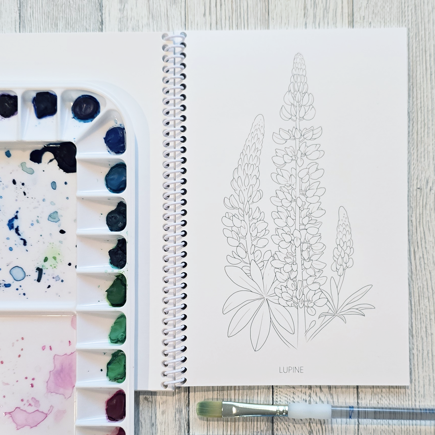 Floral Alaska Art Coloring Book