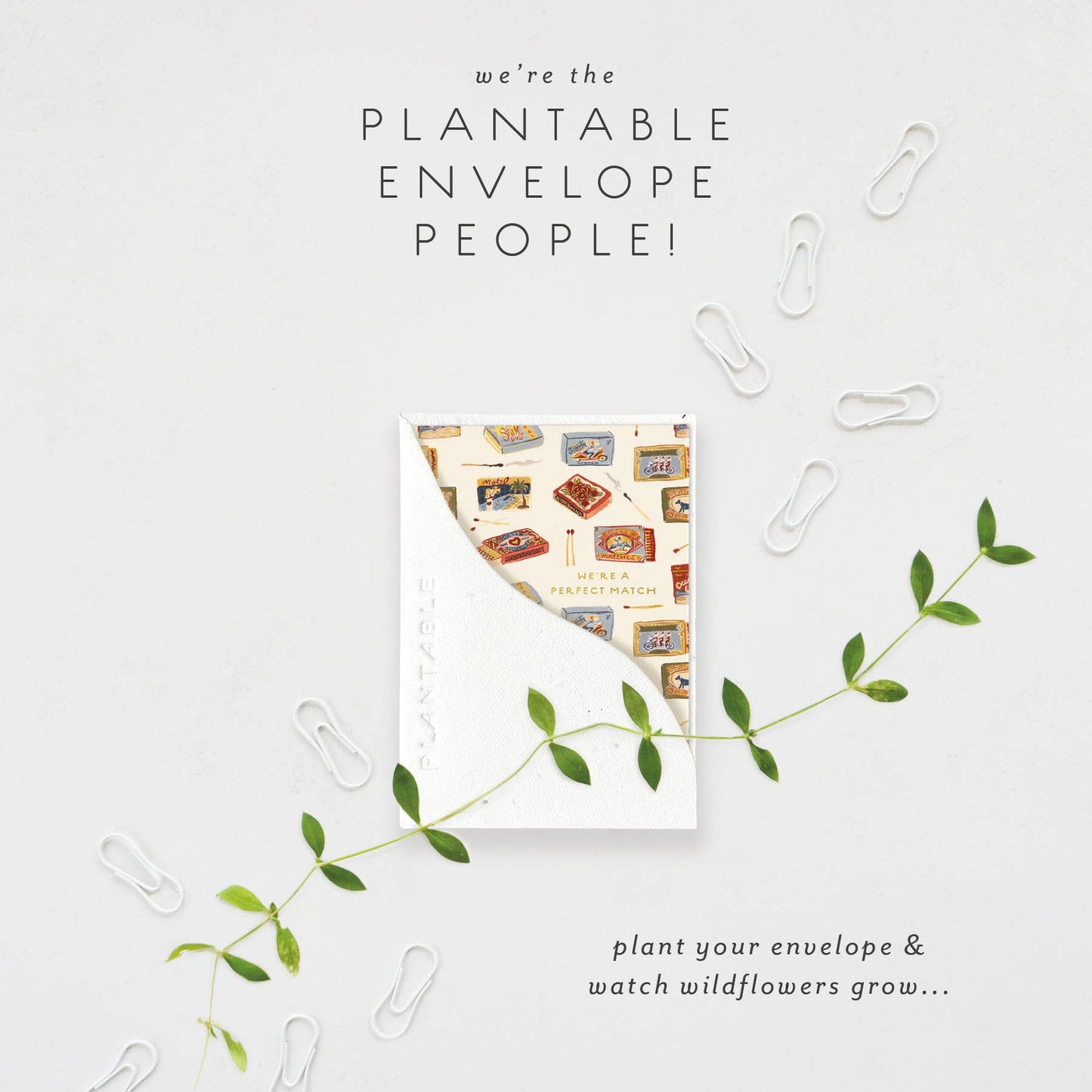 Matchbooks Sprout - Anniversary Mini Greet 2.5 x 3.5