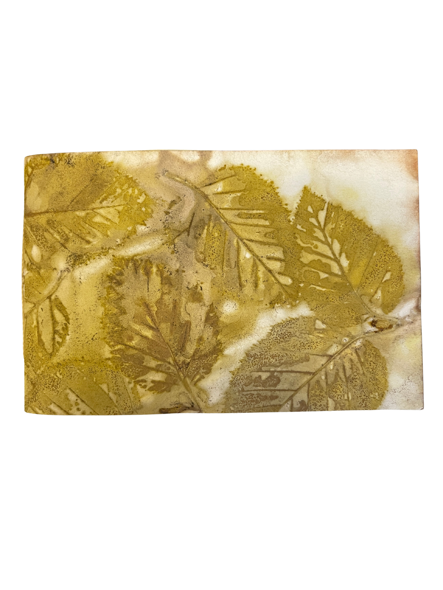 Signature Soft Cover Sketchbook